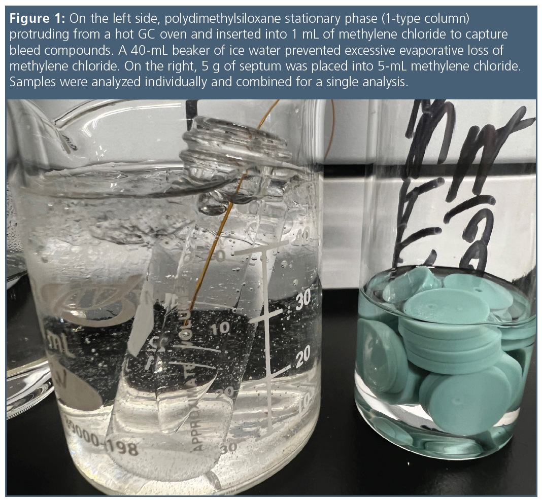 Understanding the Origins of Siloxane Ghost Peaks in Gas Chromatography